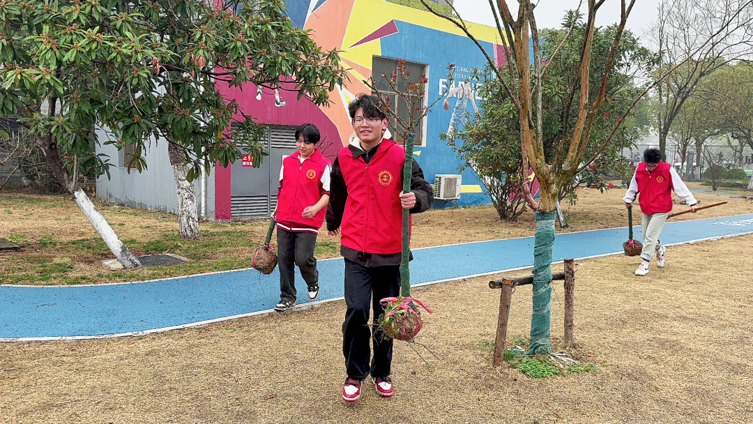 党团共建学雷锋 绿化校园我先行 | 我校开展植树节主题党日活动
